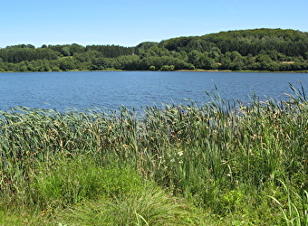 Sur les traces du Castor au lac de Chamboux - SAINT-MARTIN-DE-LA-MER