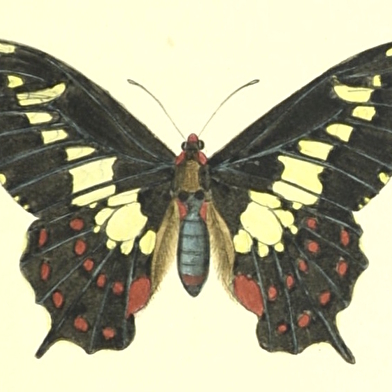 Exposition temporaire : Hommage à Jean Roidot-Déléage