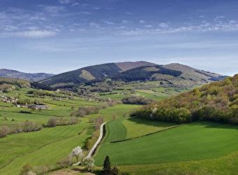 Circuit entre roches et Mont Beuvray - LAROCHEMILLAY