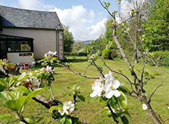 Le Lavoir - SAINT BRISSON