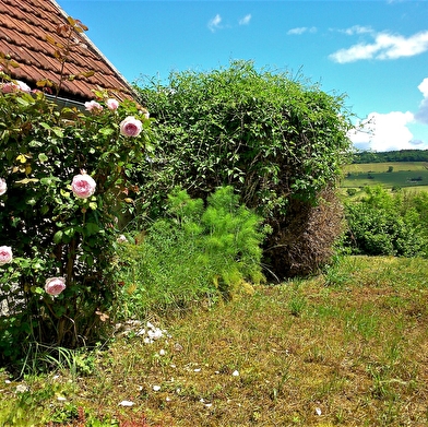Gite de la Grand Rue