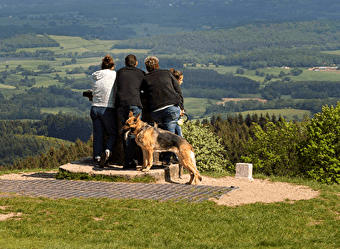 Toutou't'à pied : une balade qui a du chien à Bibracte ! - SAINT-LEGER-SOUS-BEUVRAY