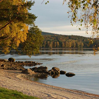 Chalets/Camping Plage du Midi