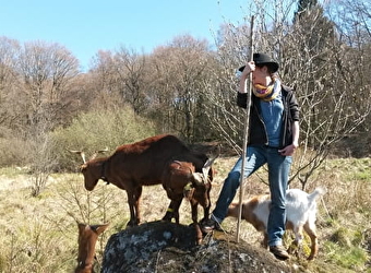 Rejoins le troupeau - SAINT-DIDIER