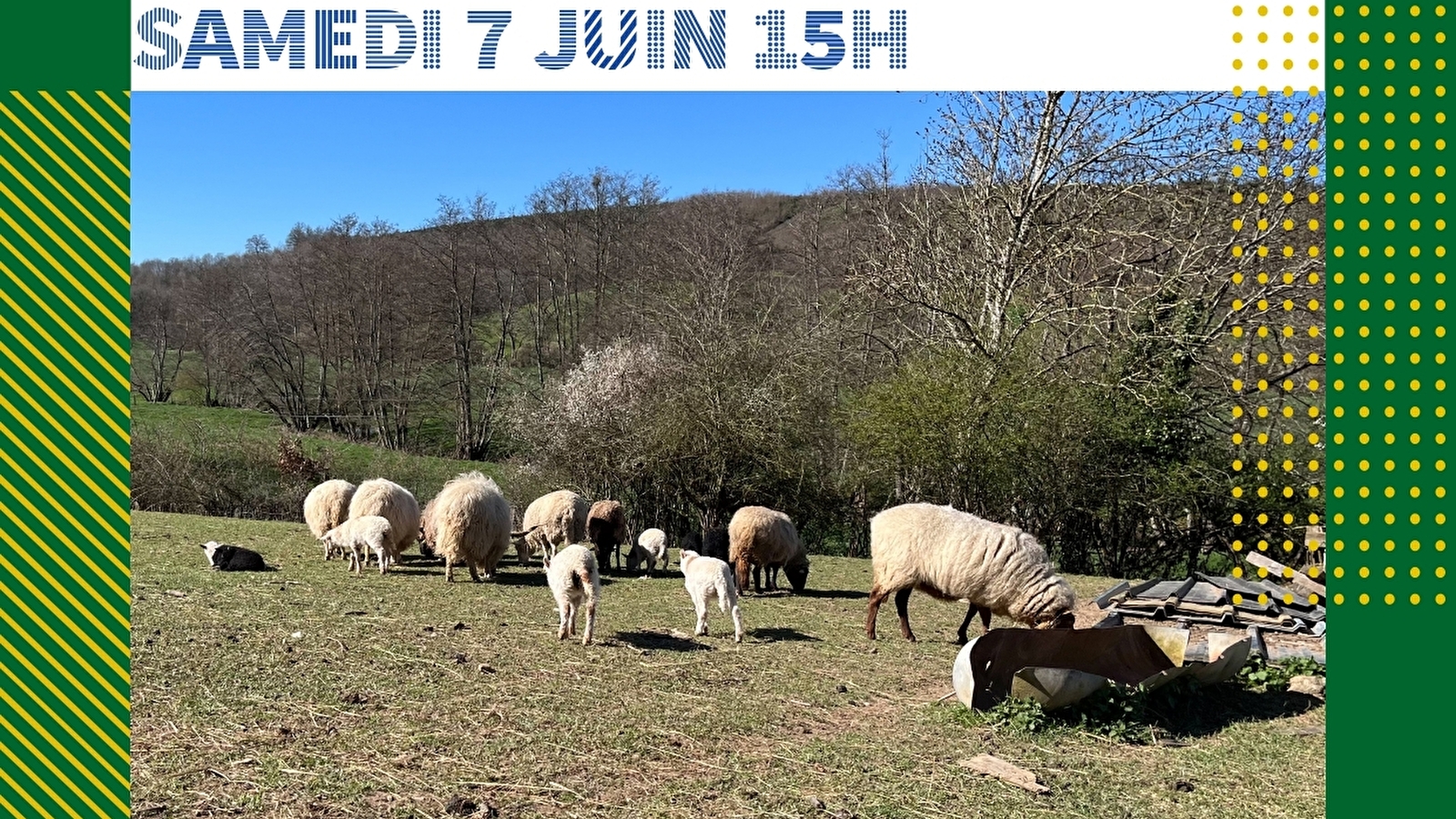 Visite guidée de La Motte-Ternant
