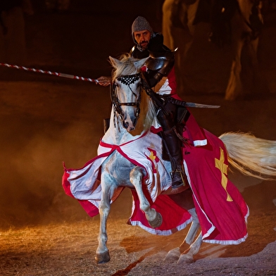 Augustodunum le spectacle historique d'Autun