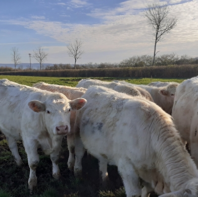 La Ferme des Ventes