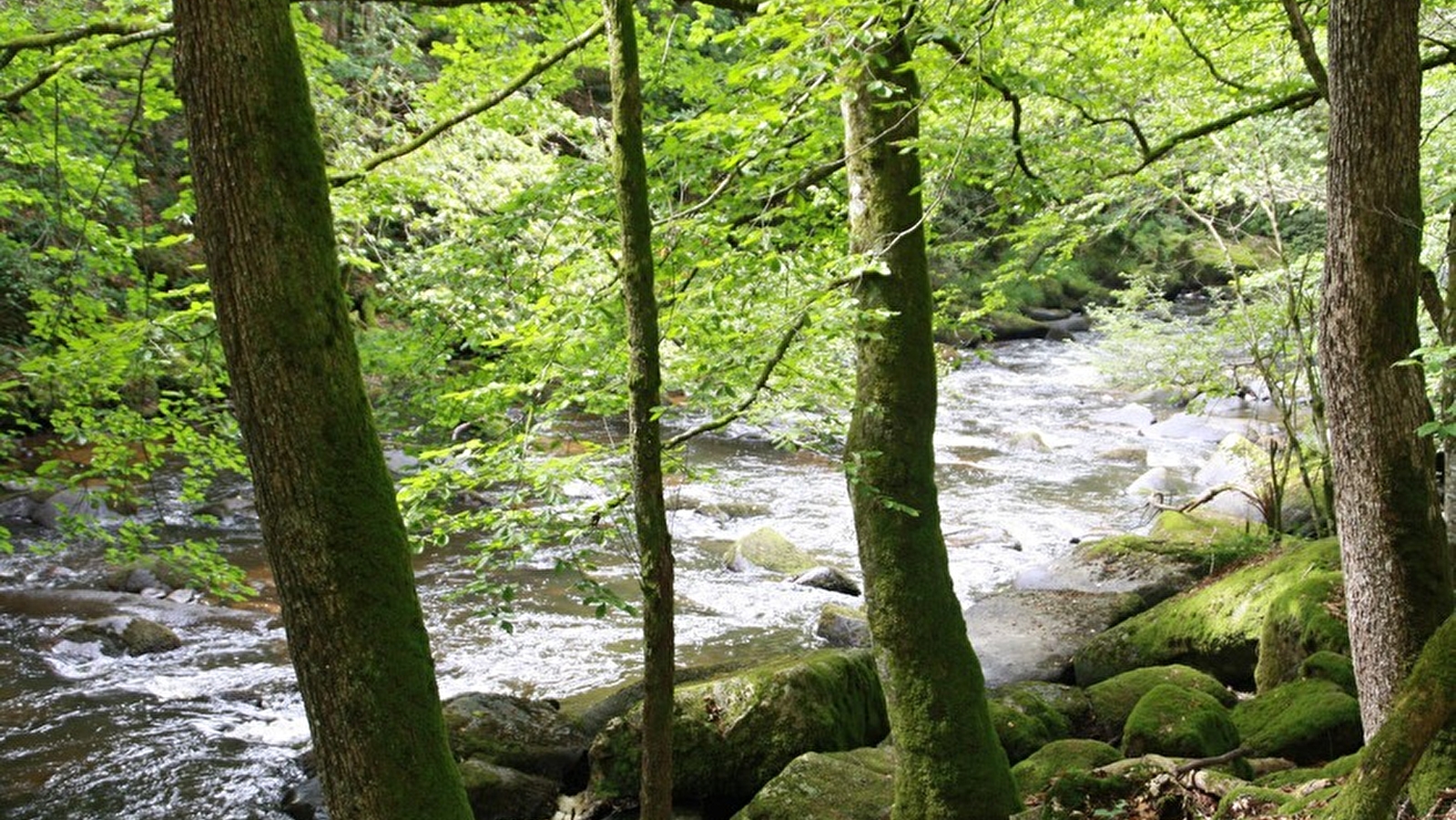 Camping La Croix du Château