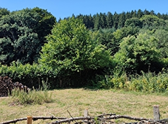 Plumes de Mouton - GLUX-EN-GLENNE