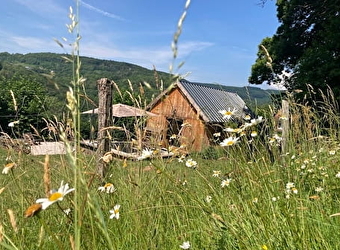 Chalet Au Bois Du Haut Folin - SAINT-PRIX