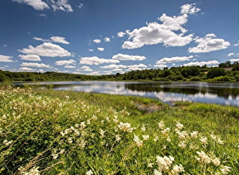 Sentier de découverte de l'étang Taureau - SAINT-BRISSON