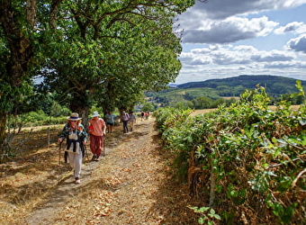 AMUR Celte Broyes - BROYE