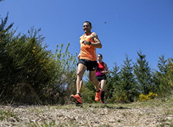 Circuit de Trail: Boucle n°2 de Moux-en-Morvan - MOUX-EN-MORVAN