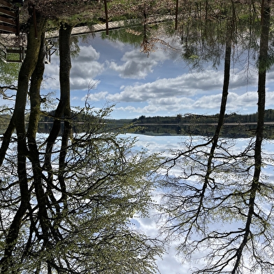 Le Chalet des Settons - n°7