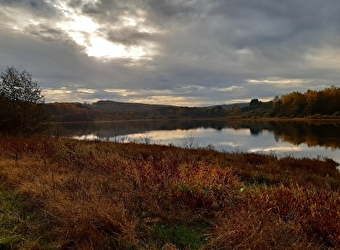 Balade nature « L’Étang Taureau, reflets du Morvan » - SAINT-BRISSON