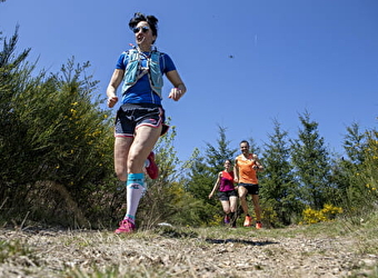 Circuit de Trail: Boucle n°1 de Moux-en-Morvan - MOUX-EN-MORVAN