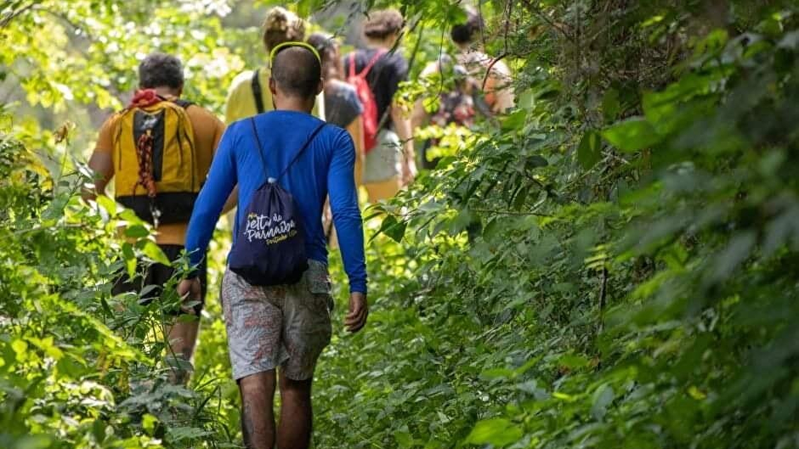 Balade forestière à Anost
