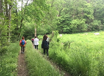 Isabelle Maney Sophrologue - CHISSEY-EN-MORVAN