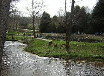 Pisciculture du Moulin Tala - BRASSY