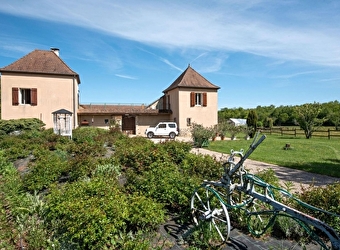 L' Arche de Noé - AUXY