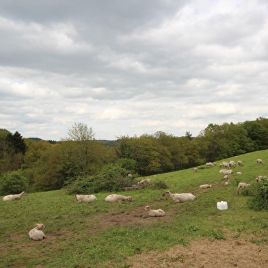 Le Petit Eden