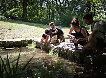 A l'assaut du Moussu ! Visite de la forêt du Beuvray réservée aux enfants. - SAINT-LEGER-SOUS-BEUVRAY