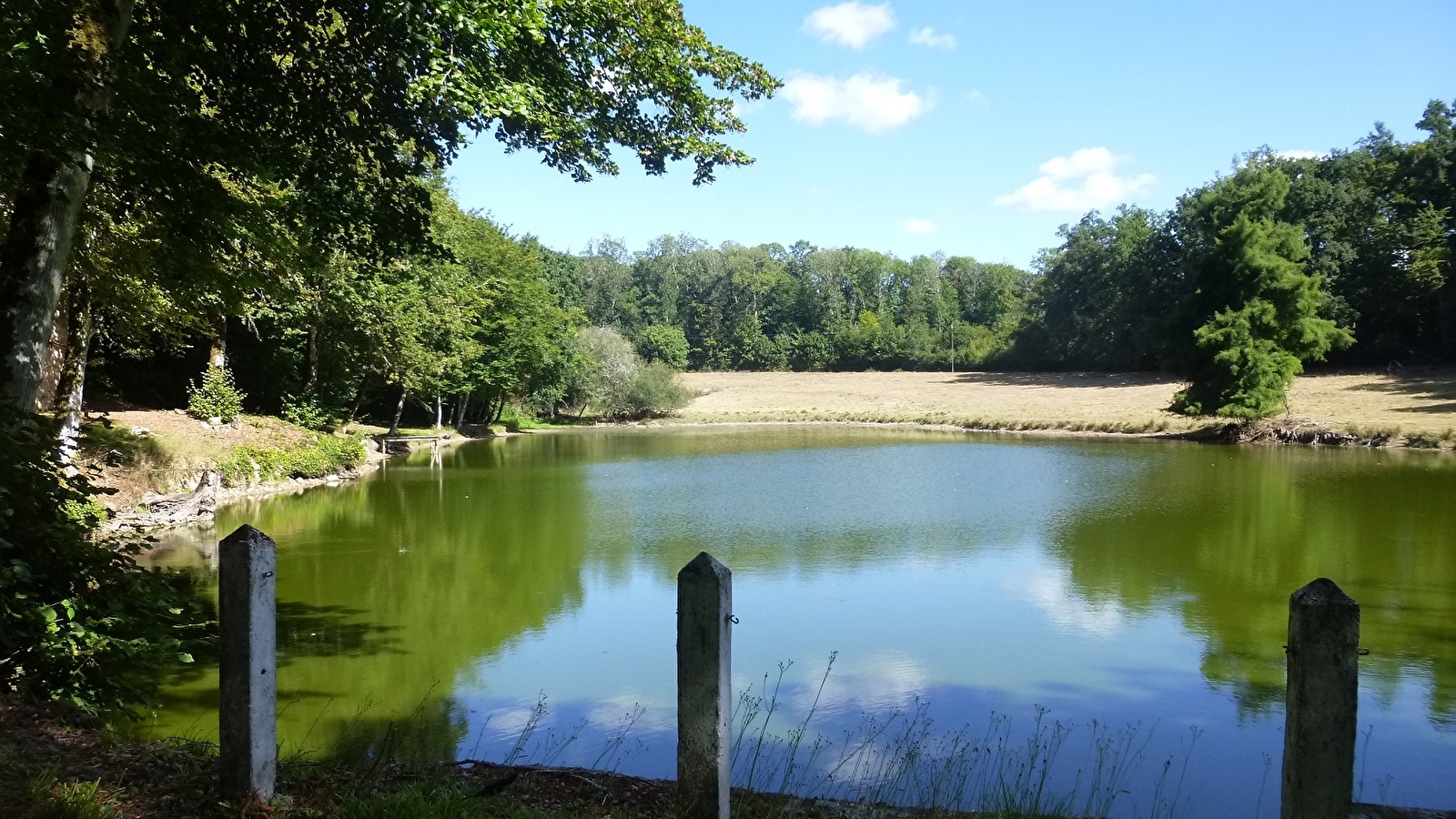 Etang de la Combe