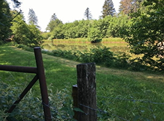 Meublé Le Petit Foulon - LORMES