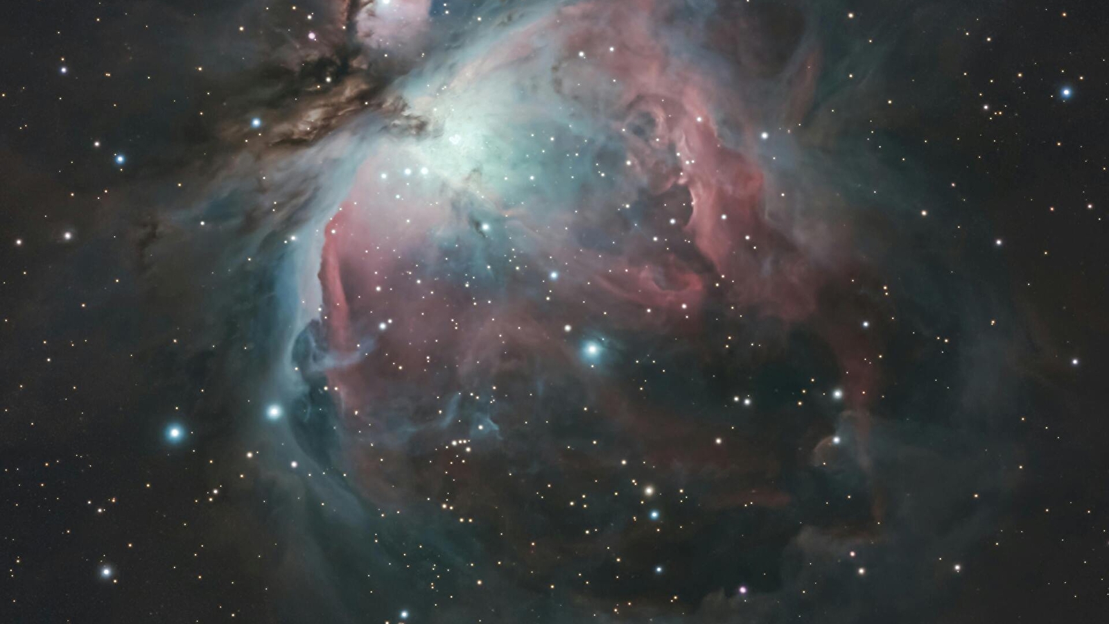 Explorons les constellations (Atelier 7-12 ans)
