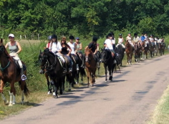 Poney Club - Eperon de Lantilly - CERVON