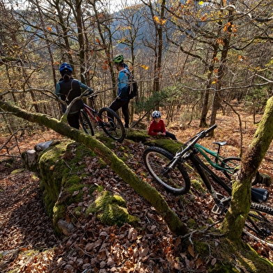 Circuit de VTT : Boucle n°7 de Moux-en-Morvan