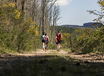 Circuit de Trail : Boucle n°1 de Chateau-Chinon - CHATEAU-CHINON (VILLE)