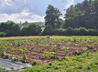 Jardin des Eaux Vives du Morvan - DUN-SUR-GRANDRY