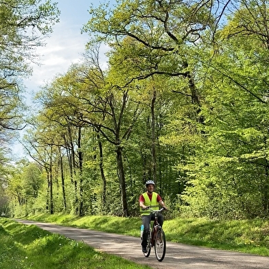 Circuit vélo de l'Aron