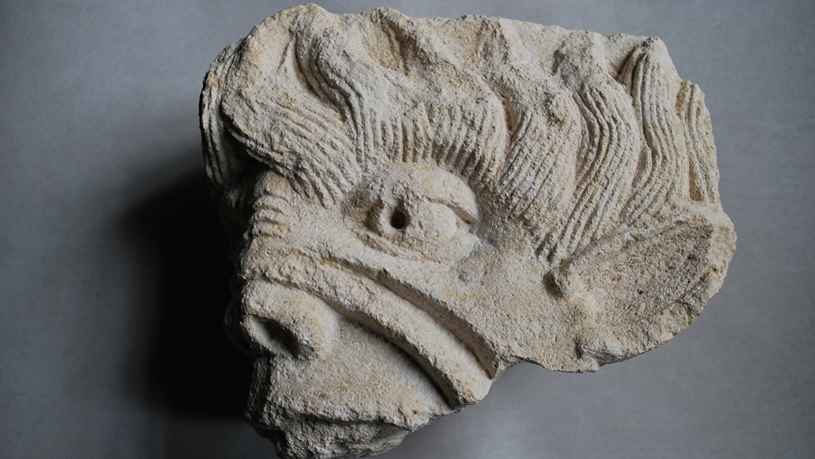 Les vacances des 7/12 ans