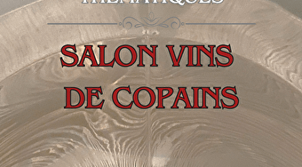 Dégustation thématique - Salon vins de copains  - AUTUN
