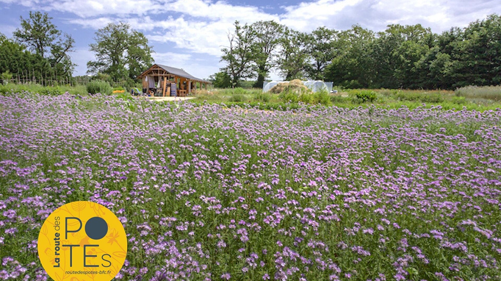 WHICH?GARDEN – le jardin bio qui nourrit la terre, le corps et l’âme !