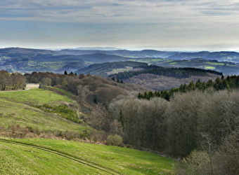 La Châtaigneraie - SAINT-LEGER-SOUS-BEUVRAY