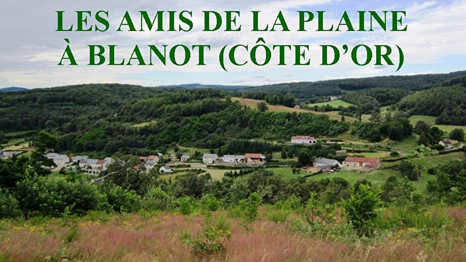 Les Amis de la Plaine