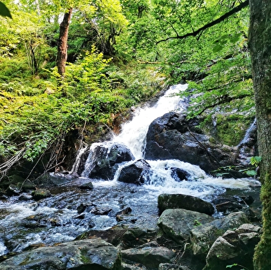 Le parcours sauvage 