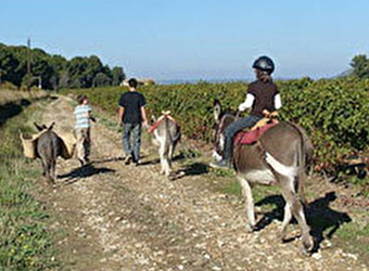 Au pas de l'Ane - MOURON-SUR-YONNE