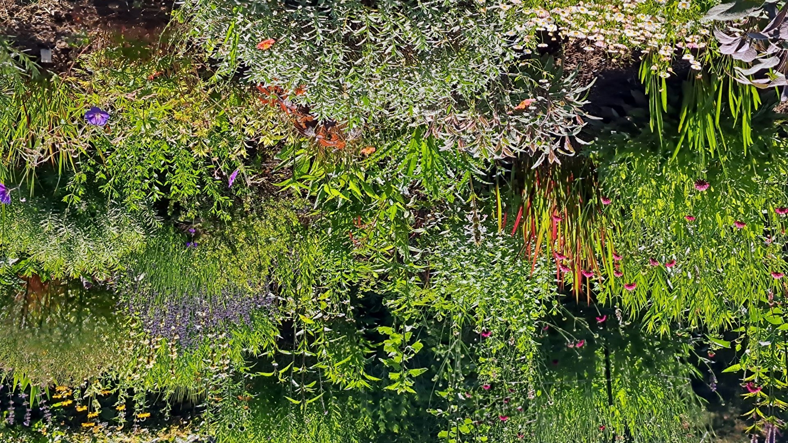 Journées portes ouvertes de jardins en pépinière à Cussy-en-Morvan