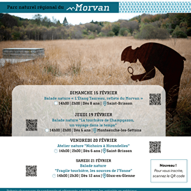 Balade nature  'La tourbière de Champgazon, un voyage dans le temps' 