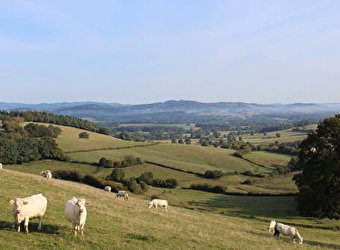 La Vallée de l'Arroux - ETANG-SUR-ARROUX