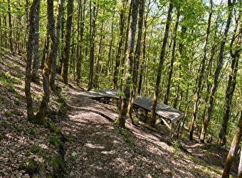 VTT XC Rouge - La Mig - AUTUN