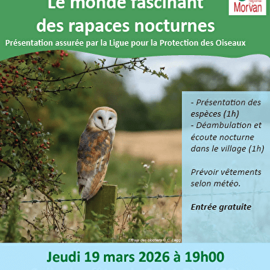  Nuit de la Chouette 