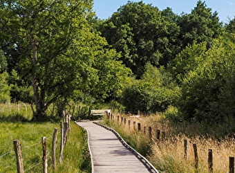 Circuit de randonnée : tour du lac de Saint-Agnan - SAINT-AGNAN