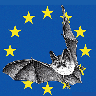 Nuit de la chauve-souris à Arnay le duc, Mercredi 1er juillet