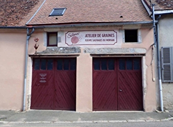 Silènes, graines du Morvan - SAULIEU