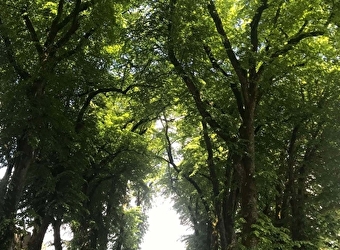 Promenade Jean Macé - SAULIEU